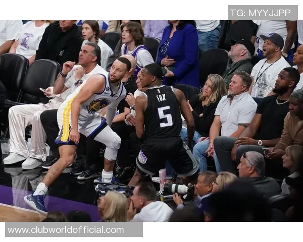 2001年湖人与国王的经典对决回顾与分析